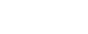 Lucas & Steve Shop